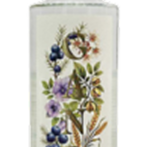 GANDZ DRY GIN – ARMENIA